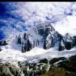 Chorlito cordillerano 1