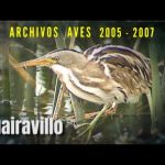 Huairavillo