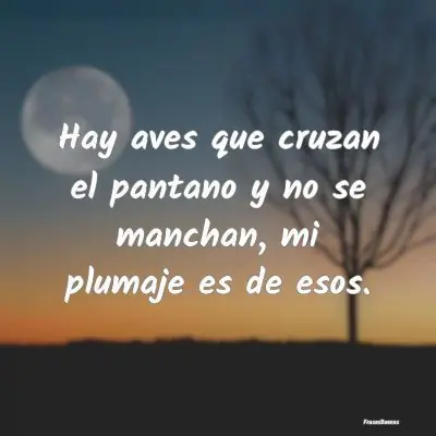 hay aves que cruzan el pantano y no se manchan significado