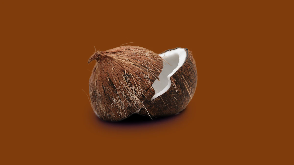 Nido de coco para loros y aves colgando de una rama