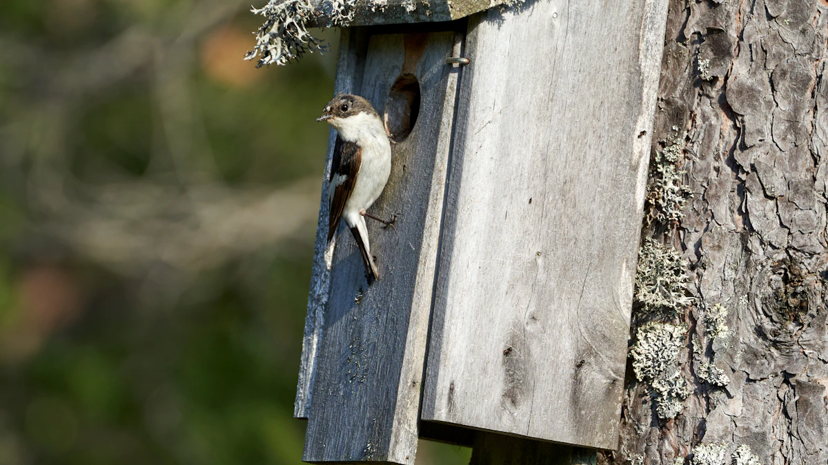Casa nido para pájaros colgando de un árbol en el bosque