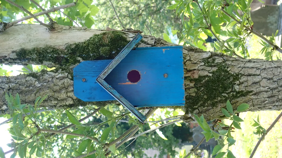 Caja nido de madera contrachapada para pájaros