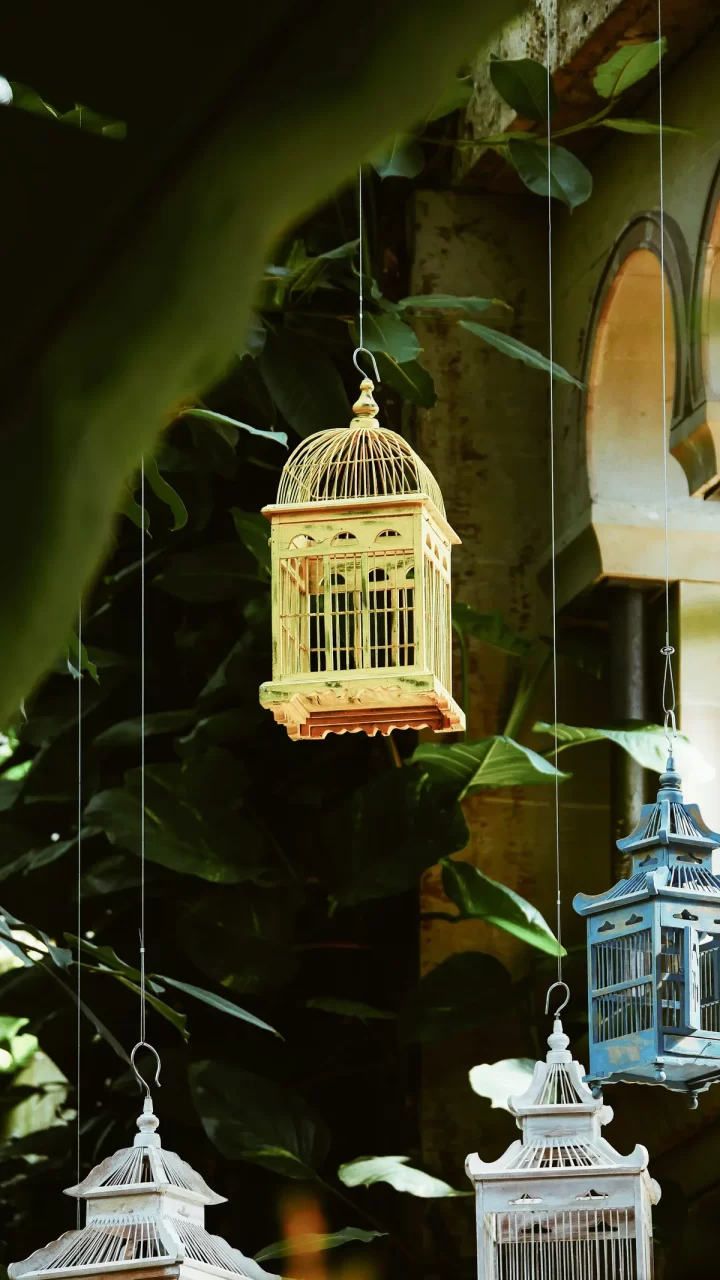 Jaula para pájaros estilo bohemio