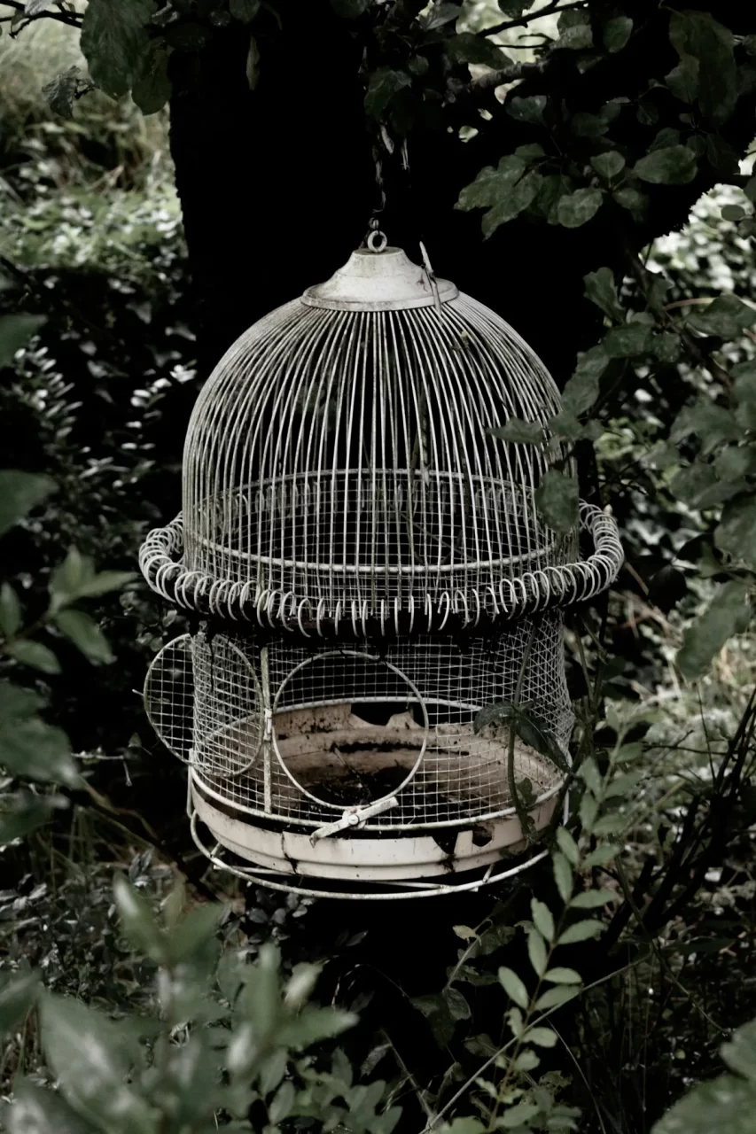Comedero para aves de jardín resistente