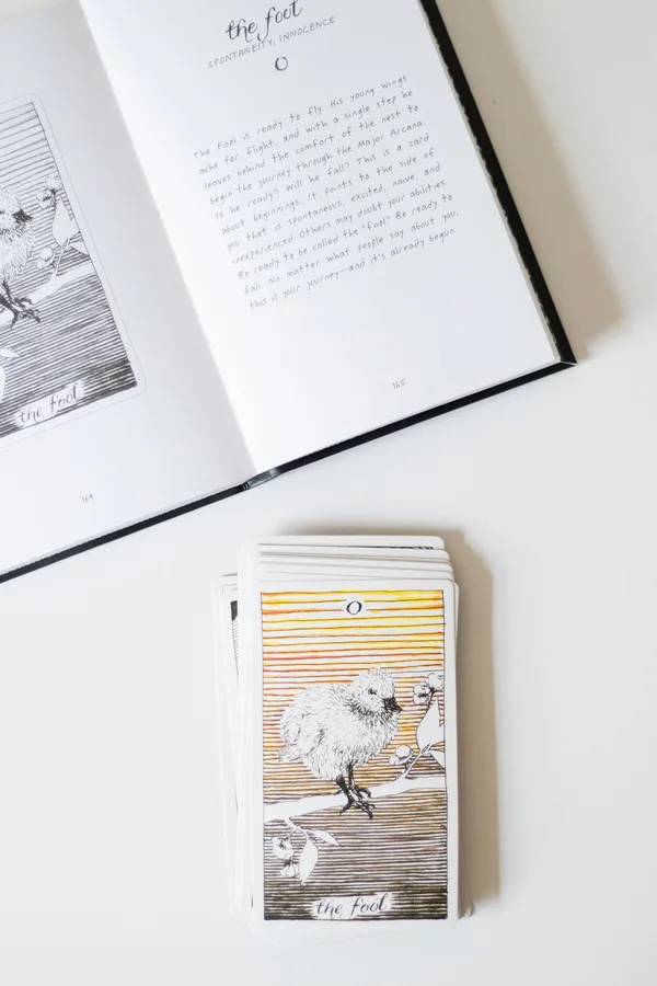 Libro de aves chilenas