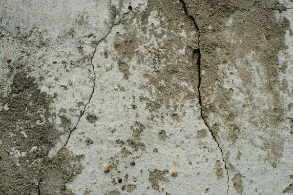 Percha de cemento para aves