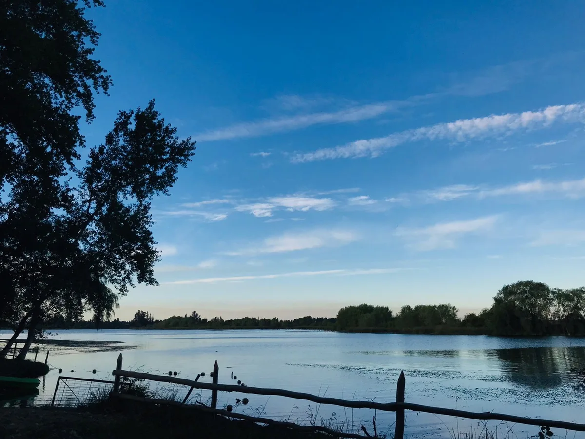 Laguna Santa Elena en Bulnes, Región de Ñuble, humedal hábitat de aves acuáticas