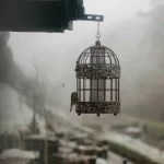 Jaula para pájaros con juguetes y diseño elegante
