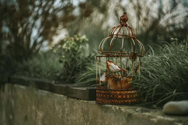 Casa nido para colibríes en el jardín