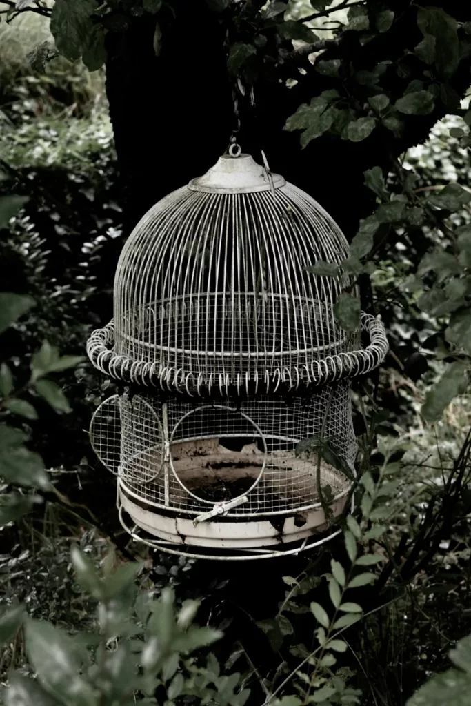 Jaula de madera decorativa para pájaros